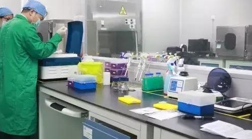 分子微生物實驗室1