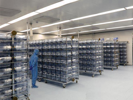 動(dòng)物房?jī)艋こ?